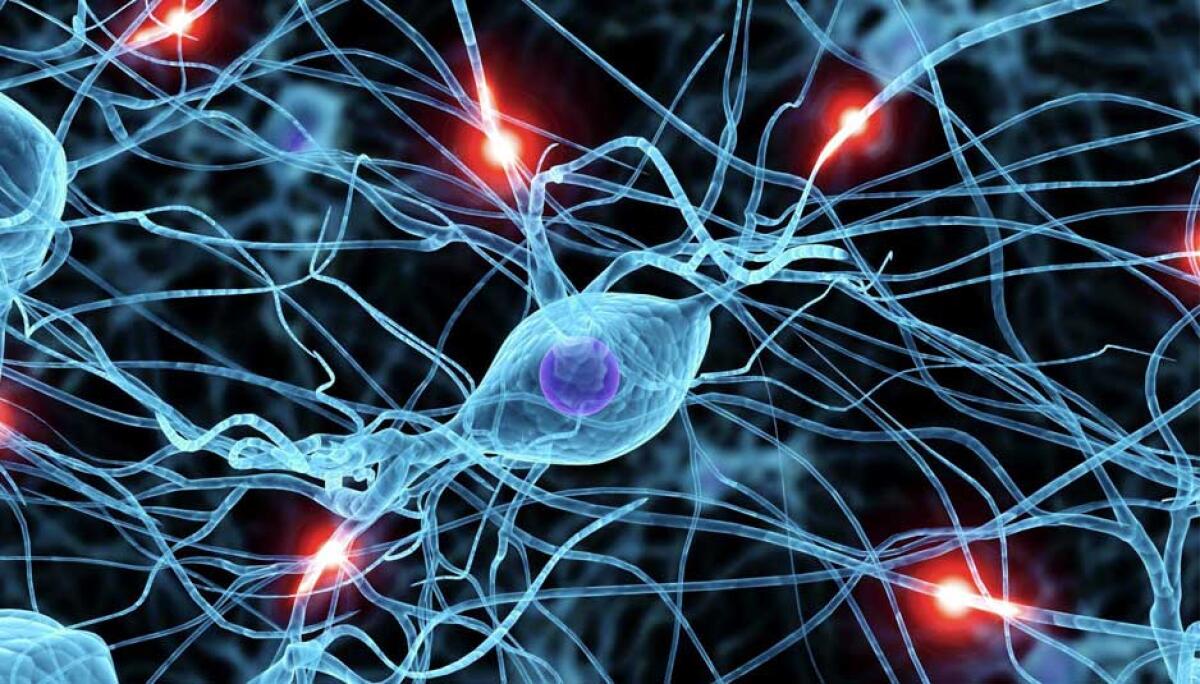 K Computer, una frazione del cervello umano - 