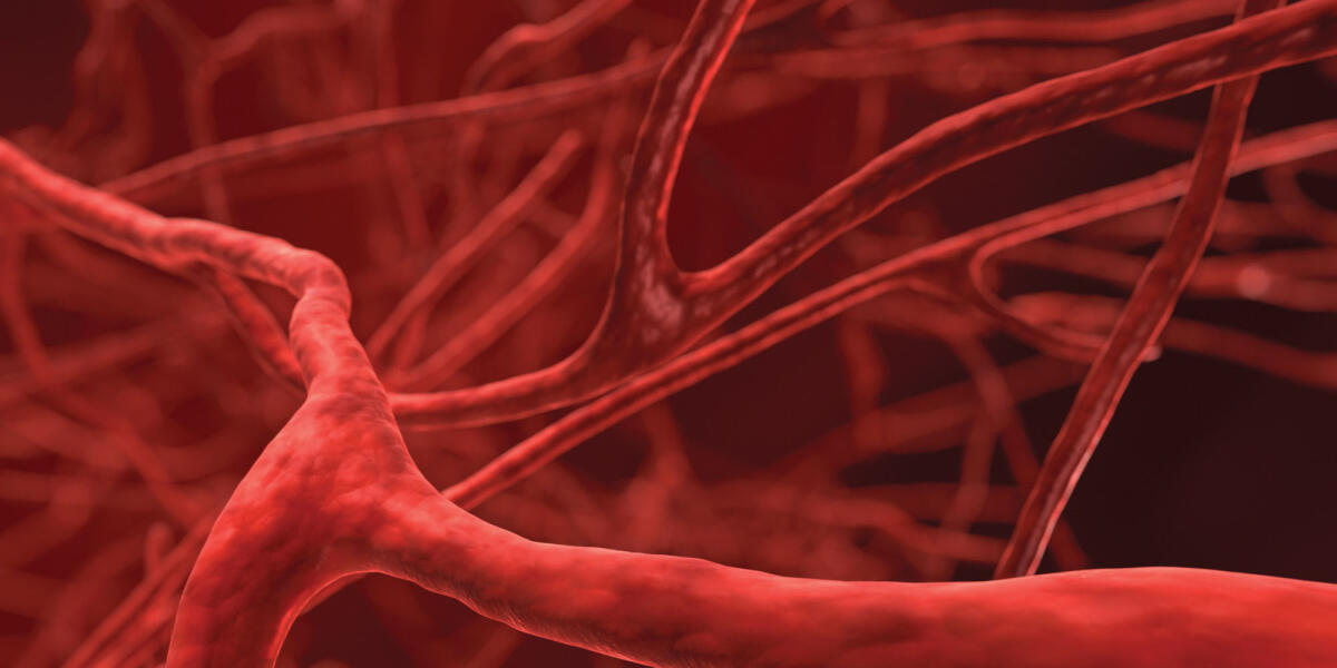 Bioprinting: creati vasi sanguigni sintetici tramite stampa 3D - Source: i.huffpost.com/