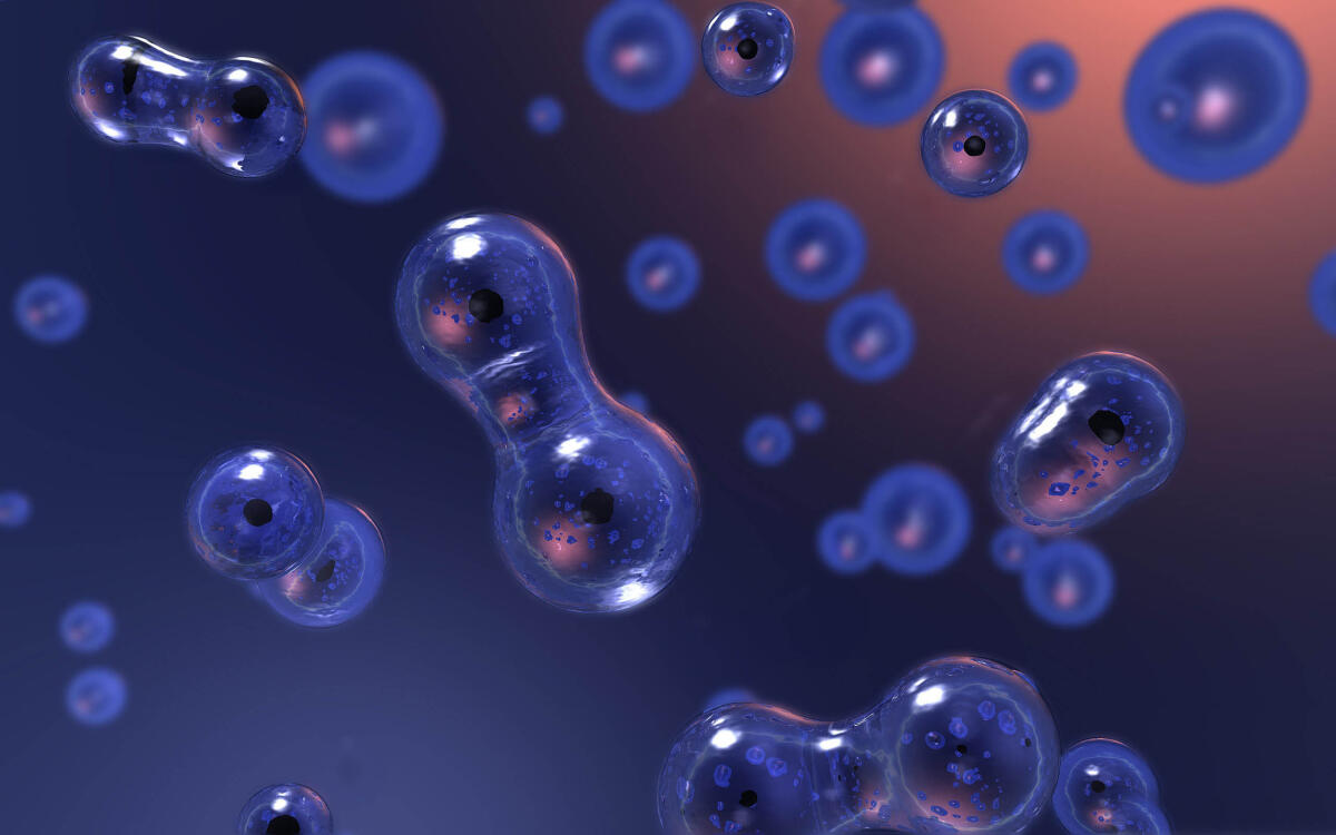 Simulazione cellulare: verso nuove frontiere della bioingegneria - Source: hu.wallpapersus.com