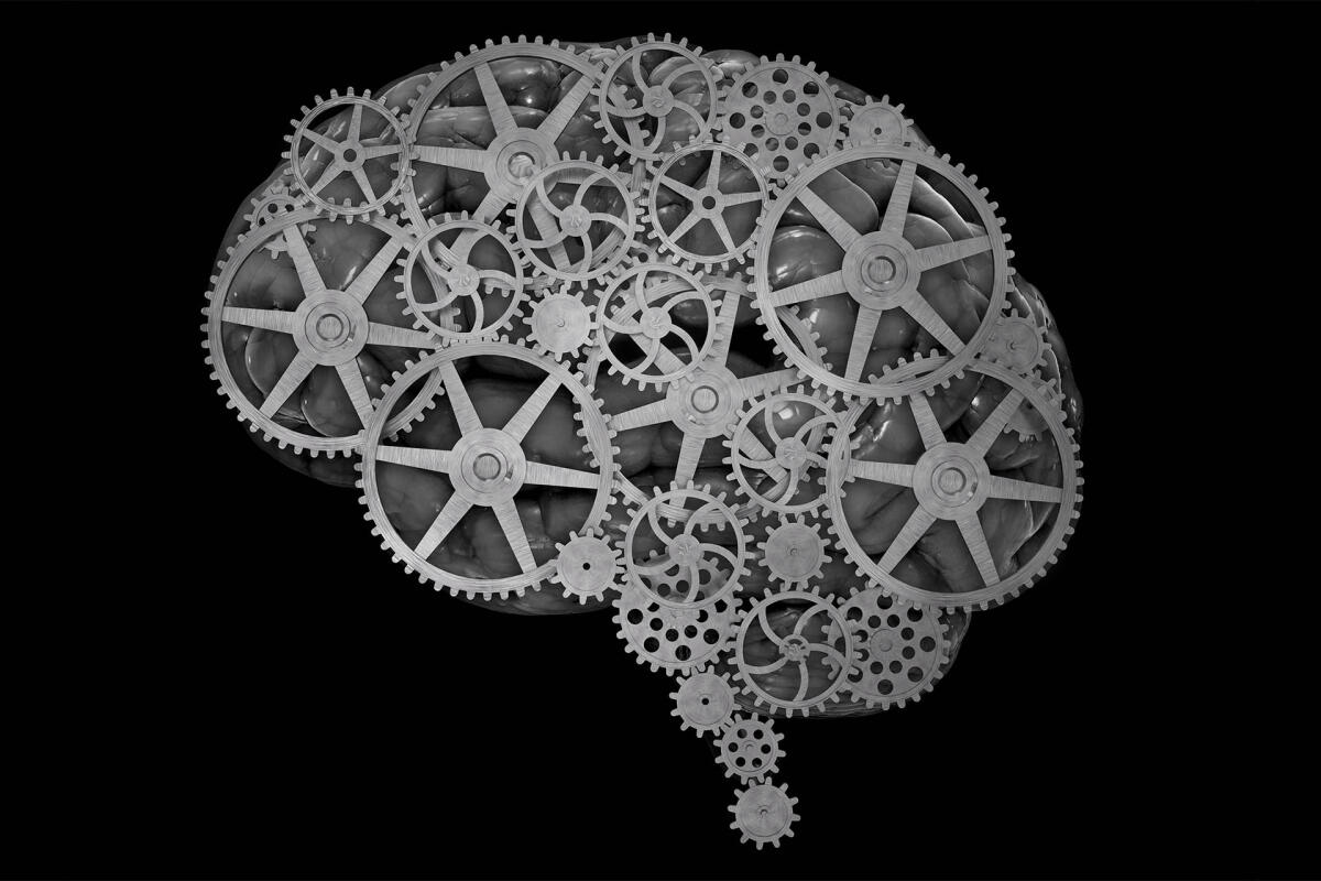 Una neuroprotesi per il controllo simultaneo di due braccia - Source:reconstructivesurgerytrials.net