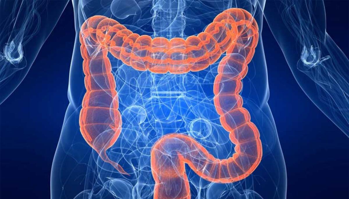 Bioingegneria: arrivano i nano-succhi per esaminare l'intestino - areacomunicazione.policlinico.unina.it