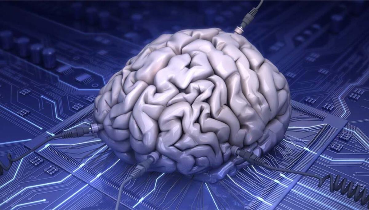 IBM presenta TrueNorth: il chip che imita il cervello umano - i.huffpost.com