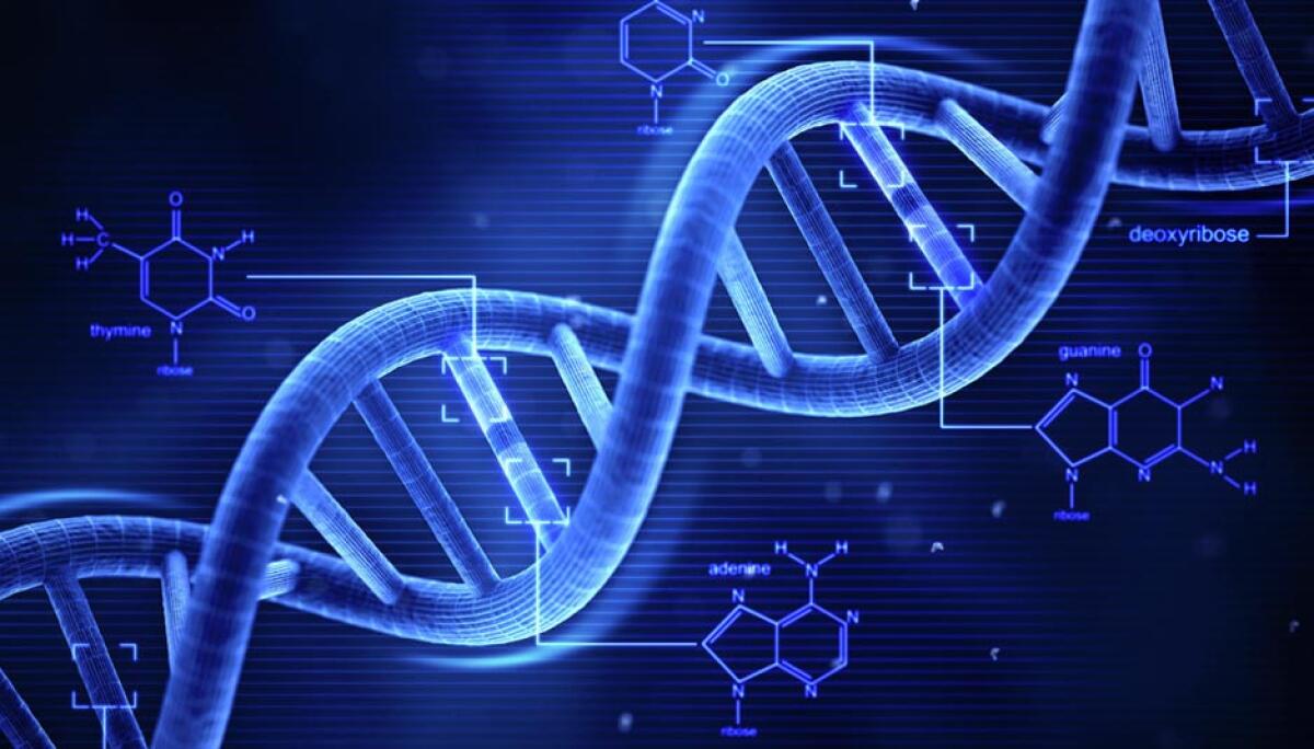 DNA fluorescente come metal detector per analisi delle acque - mashable.com