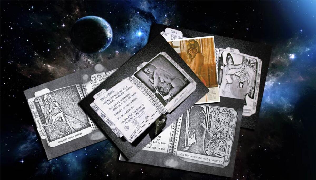 Apollo XII: conigliette nello spazio - 