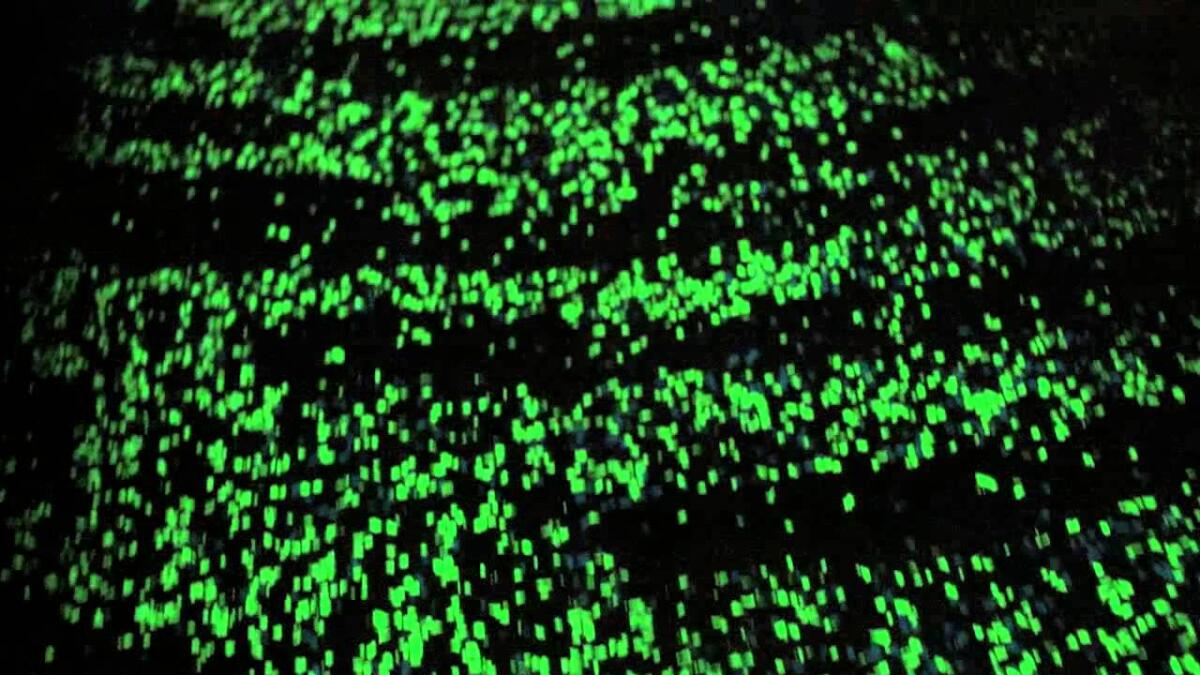 Netherlands: luminescent cycle path inspired by Van Gogh - 
