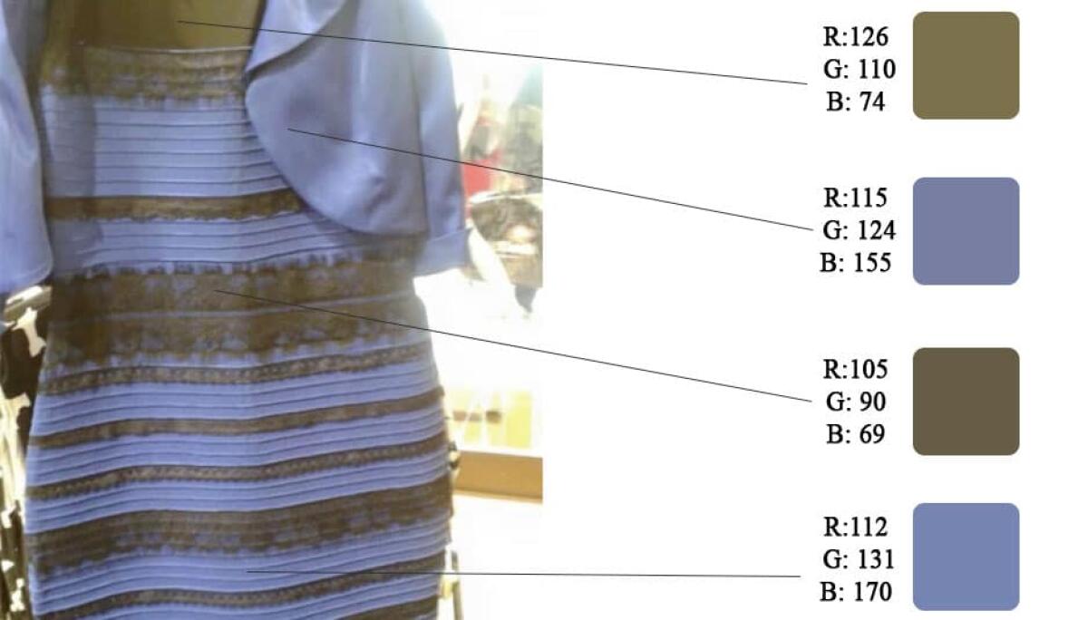 Di che colore è il vestito nella foto? Lo spiega la scienza - PH: ©Close-up Engineering/Raffale Salvemini