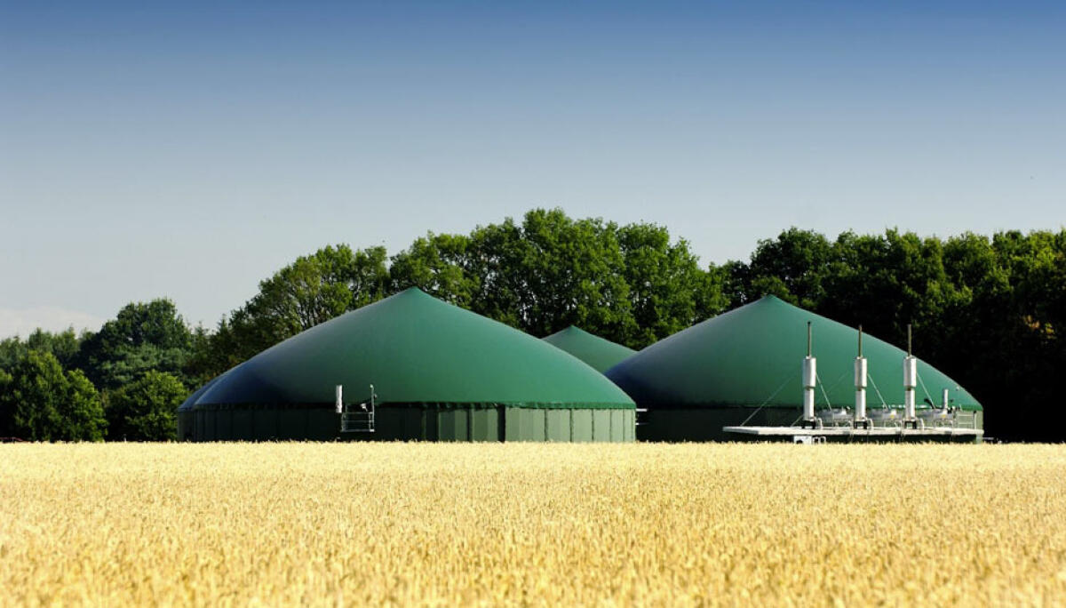 La produzione di Biogas da deiezioni per ridurre le emissioni di CO2 - cfdeng.com