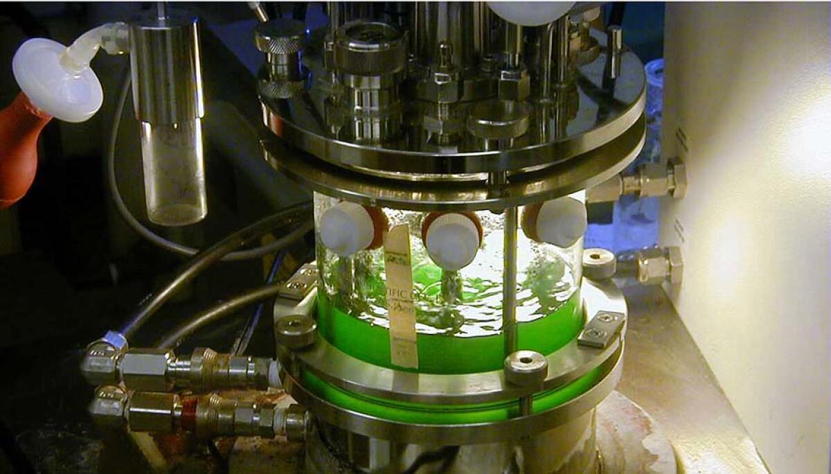 Biocombustibili di Terza Generazione - 