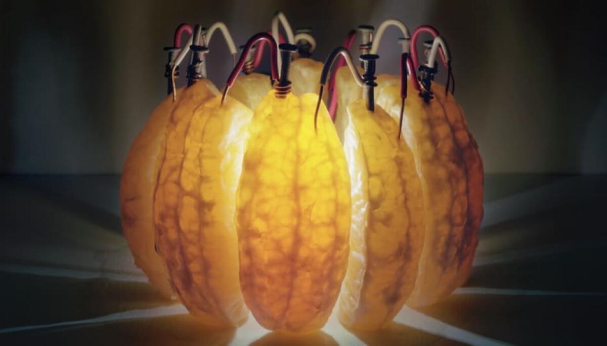 Luce dalla frutta? L'Italia dice sì! - PH: munplanet.com