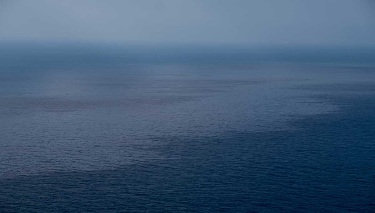 La soia: arma “green” contro il greggio in mare - inquinamento marino