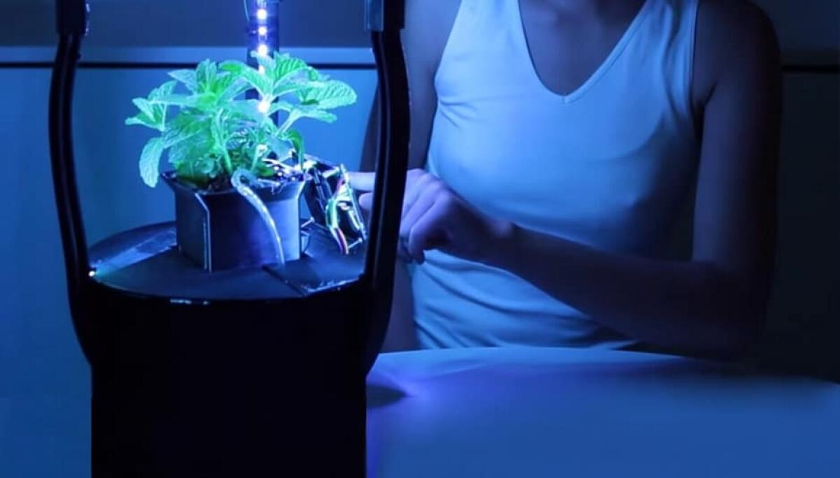 LED per coltivare piante nello spazio - PH: effemeride.it