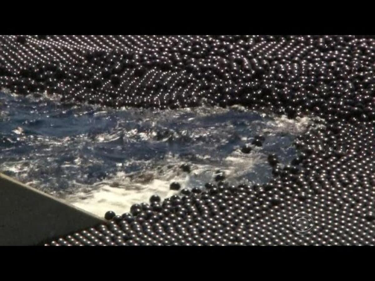 Los Angeles: palline nere per preservare l'acqua - 