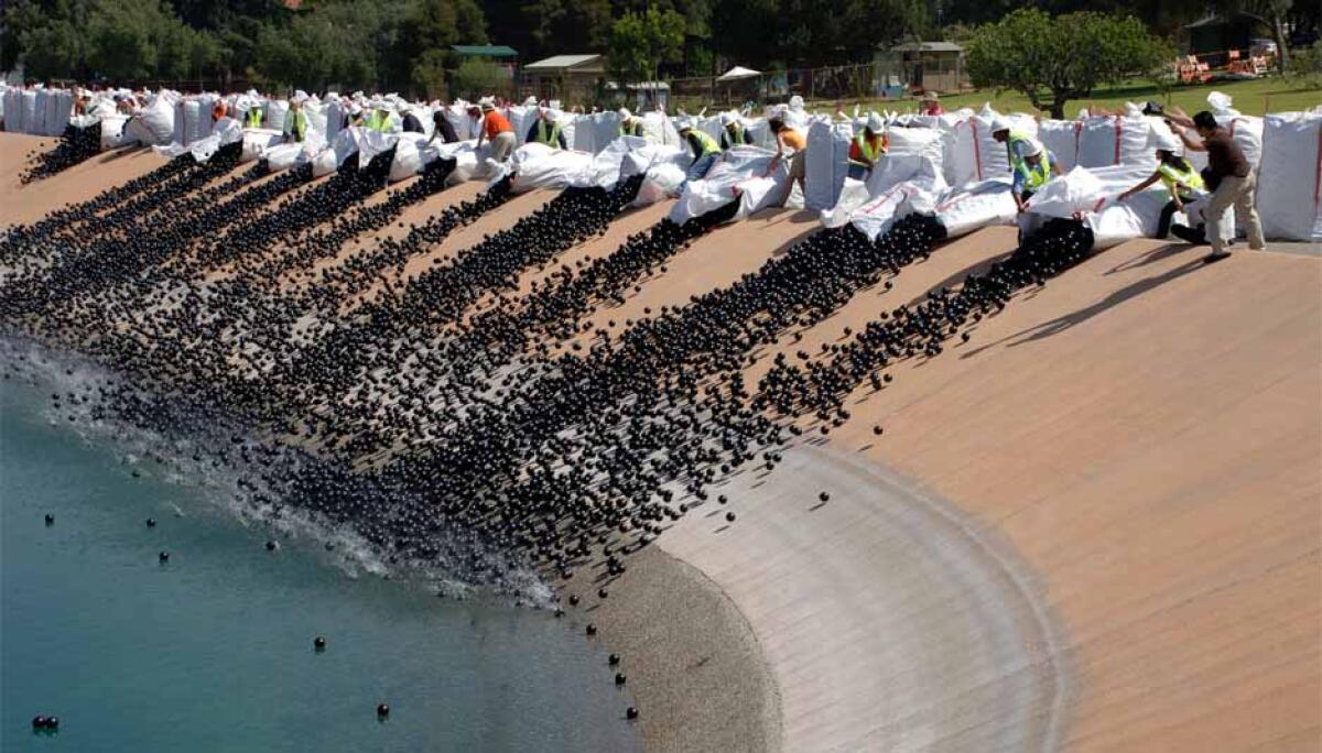 Los Angeles: black balls to preserve water - wearechange.org