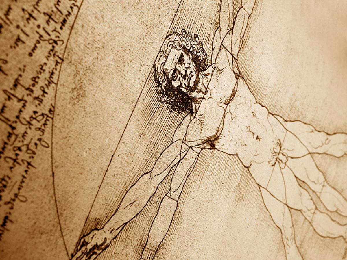 Leonardo Da Vinci, nella capitale una mostra in 3D - Uomo Vitruviano di Leonardo Da Vinci