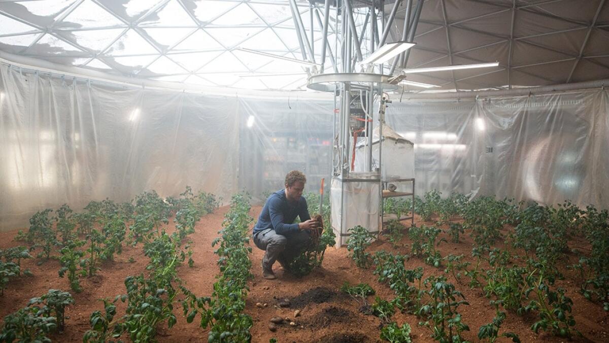 Coltivare piante su Marte? Si può fare con la pianta Pitjuri - The Martian