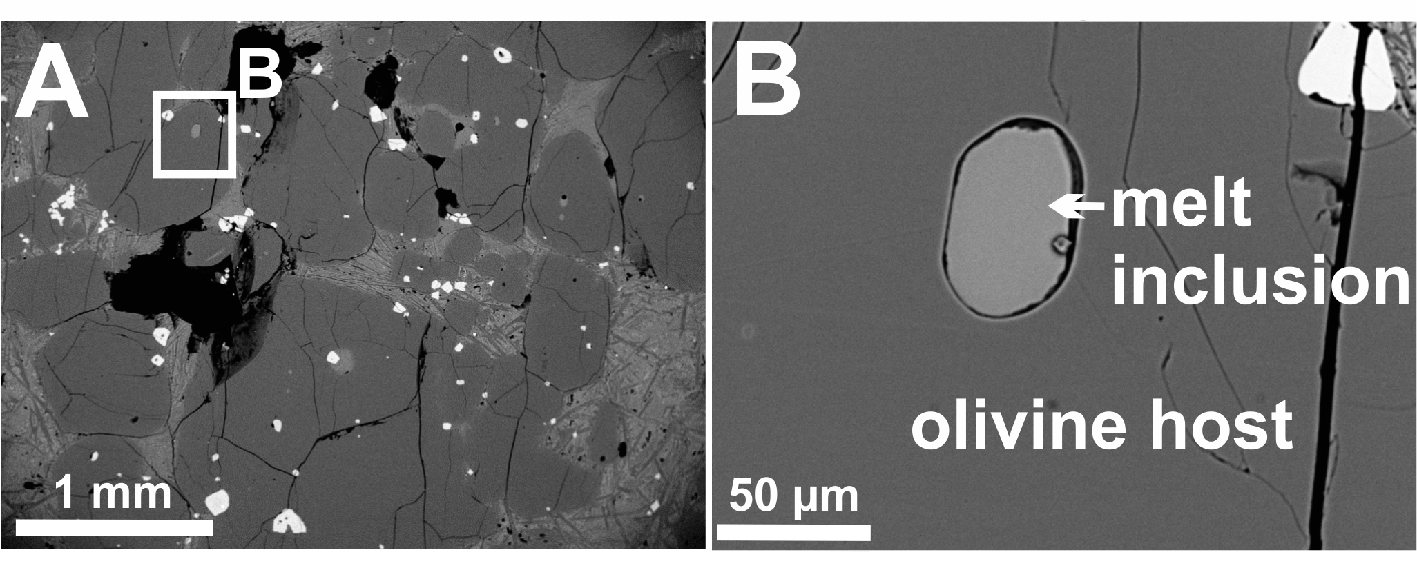 L'analisi di una picrite dell’Isola di Baffin, un tipo di roccia basaltica, ottenuta con un microscopio elettronico a scansione. Il minerale nella figura A, ospita una serie di inclusioni fuse di vetro che contengono minuscole quantità di acqua la cui ori