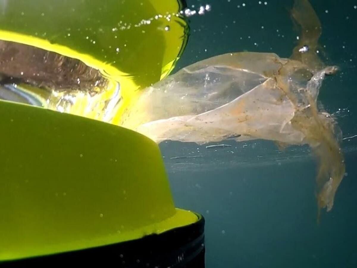 The Seabin project, a floating bin to clean waters - 