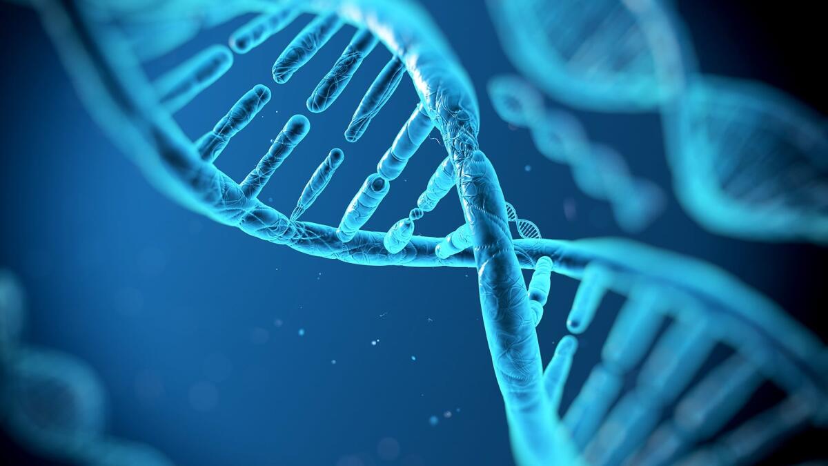 Scoperta a Bologna la Biasco-Garajová Familial Syndrome - Poster Dna
