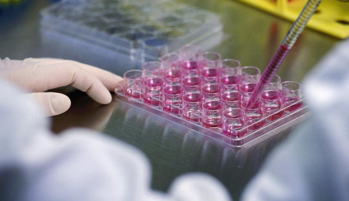 Tecnologia 3D al servizio del cervello - PH: repubblica.it