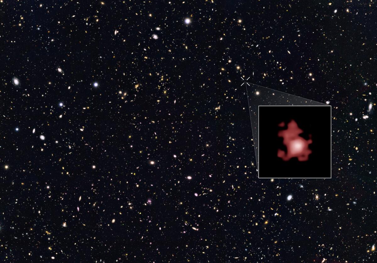 Nuovo record per Hubble: osservata GN-z11, distante 400 milioni di anni luce - GN-z11 osservata dal telescopio Hubble