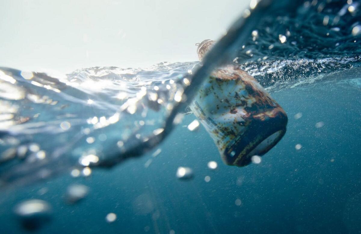 Il batterio che mangia la plastica - 