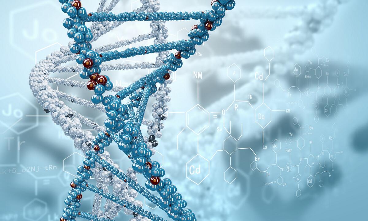 DNA spazzatura: indispensabile per battere i virus - DNA