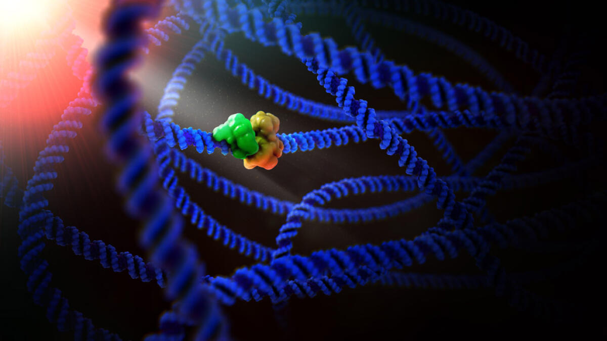 Il progetto ProFAX e l'algoritmo di protein folding basato su Monte Carlo - PH: hhmi.org