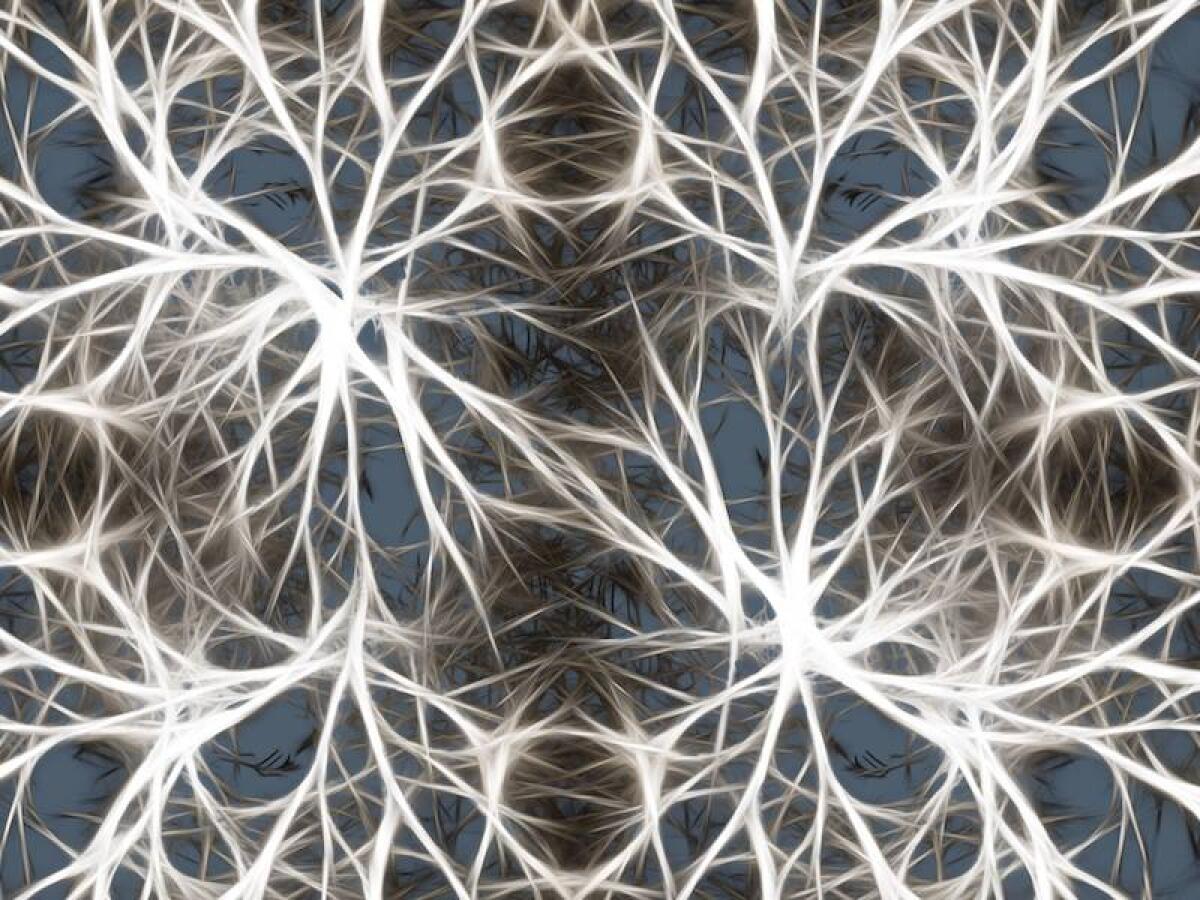Brain regeneration and ReAnima Project: Bioquark interview - Neurons.
©ReAnima