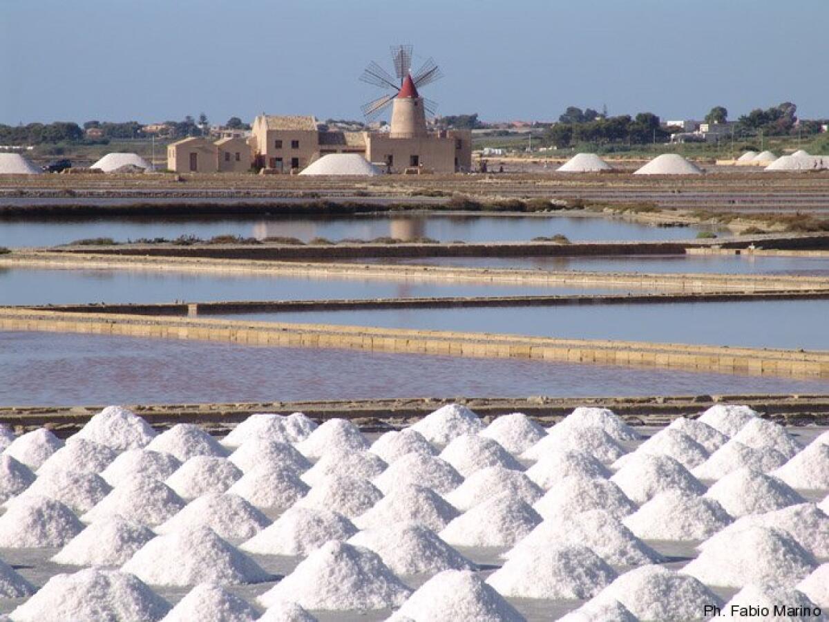 Elettrodialisi inversa: produzione di energia da gradienti salini - trapaniexperience.com
