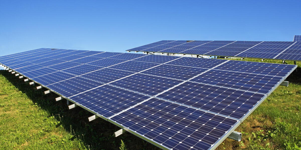 Fotovoltaico... al Gusto di Mirtillo - rivierapress.it
