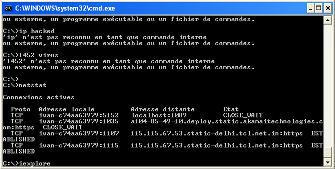"Guarda! Nel terminale! Ci sono 1452 virus! Anche <Command not found> indica che il tuo computer è infetto!" Ph. https://blog.kwiatkowski.fr