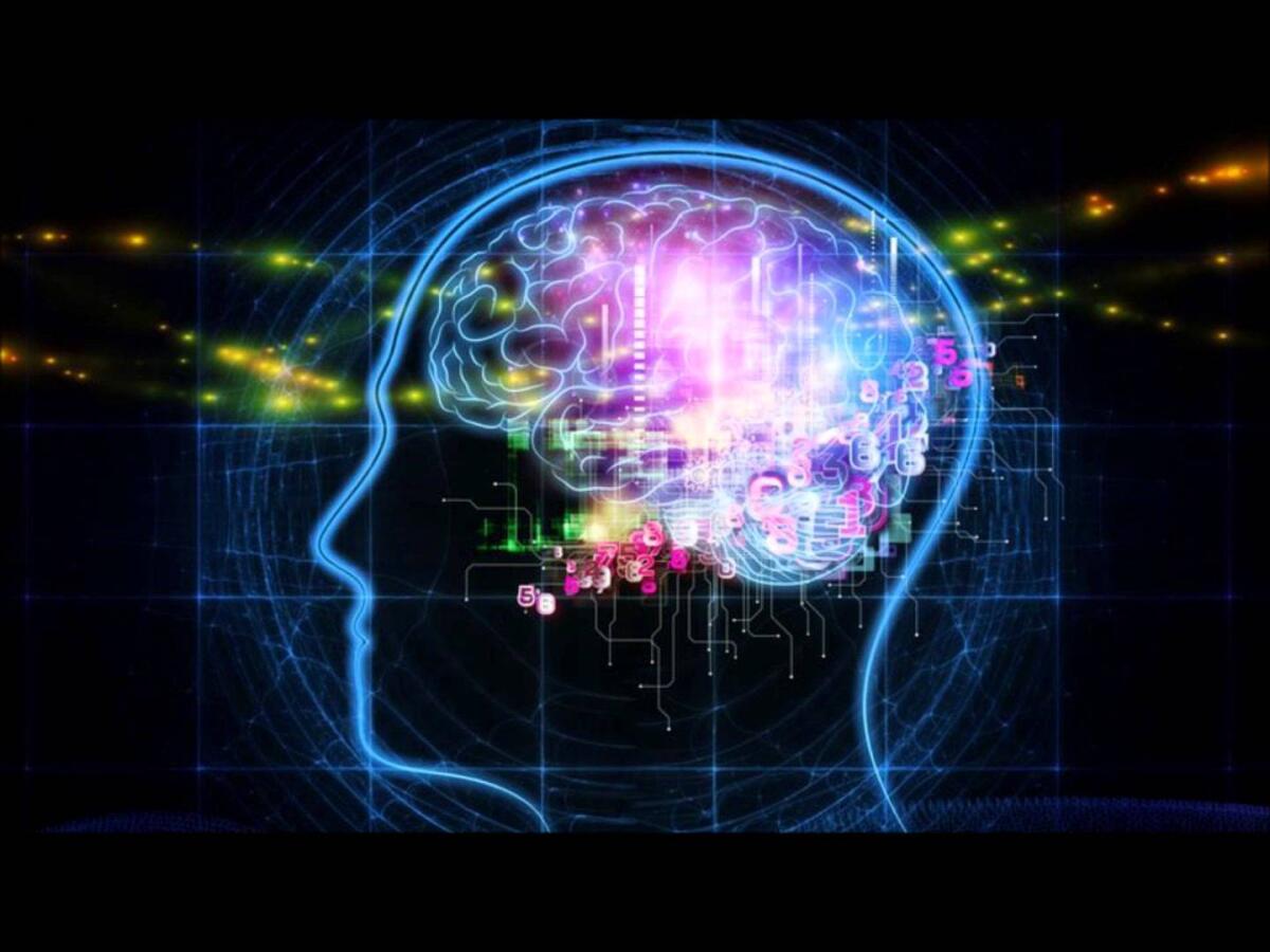 Progetto DEENN: studiare il cervello con la musica - reti neurali
www.youtube.com