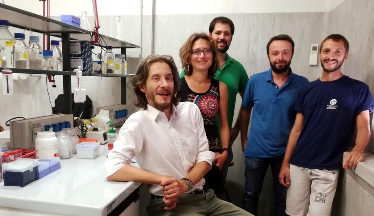 Unibo: scoperto il meccanismo che permette all'Helicobacter pylori di persistere - Il gruppo di ricerca Unibo, credits:  Ufficio Stampa Unibo - Alma Matter Studiorum