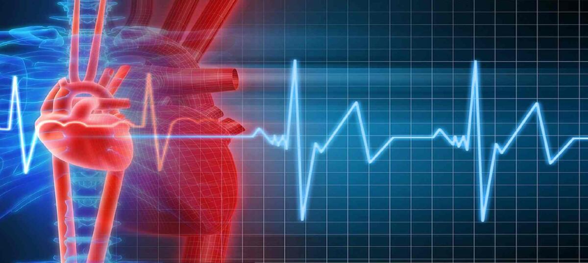 Edizione speciale del MeetSanofi in occasione della Giornata Mondiale del Cuore - attività cardiaca
www.intract.in