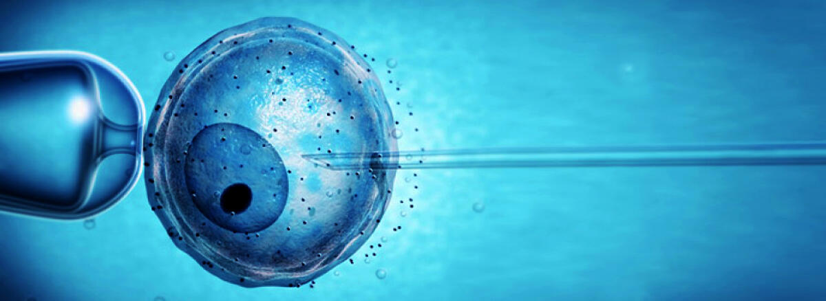 Mexico: the first baby with the DNA from 3 parents - assisted reproduction
www.cavromatalenti.it