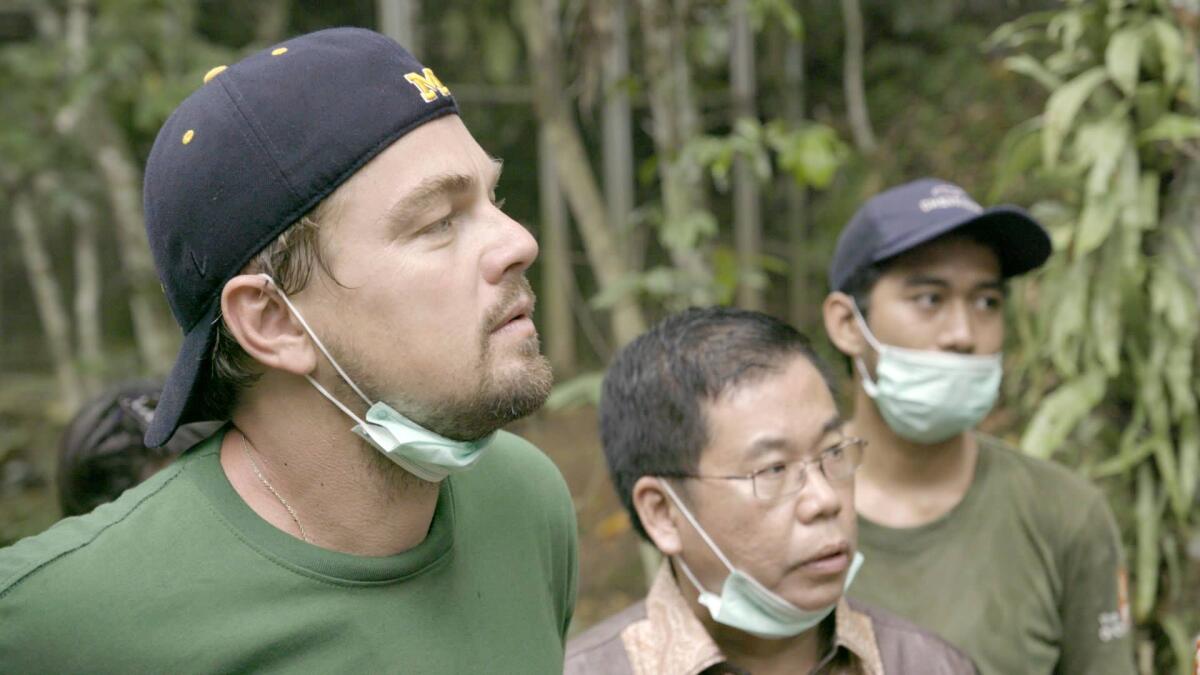 Before the Flood: come DiCaprio vuole “Raffreddare" la Temperatura Globale - collider.com