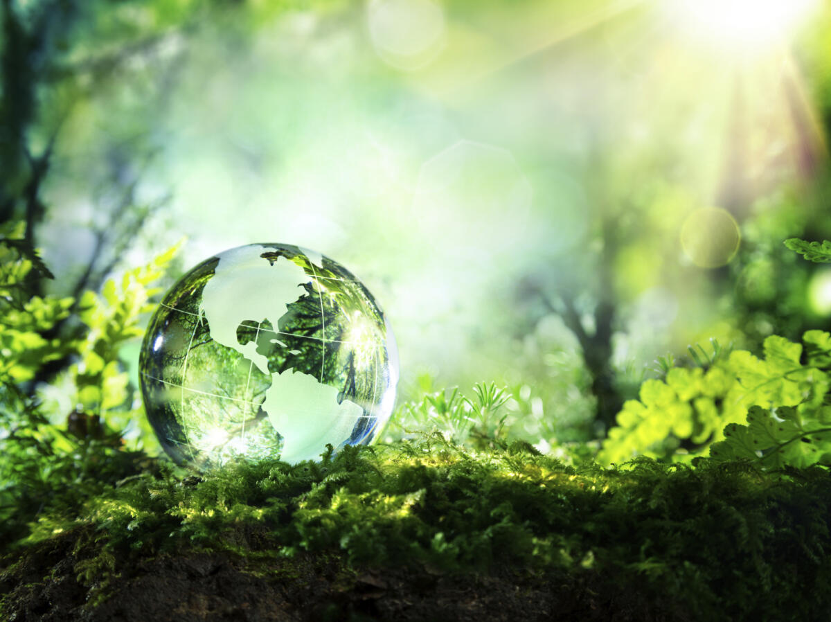 Green Economy: fra competizione e nuovi posti di lavoro - Green Economy