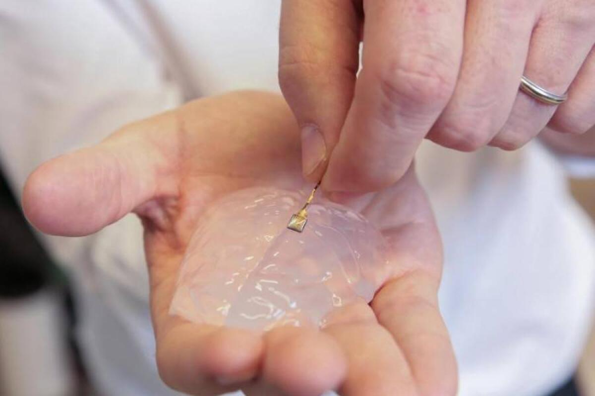 Impianto cervello-spina dorsale: scimmie paralizzate tornano a camminare - Brain Implant 
http://img.abendblatt.de