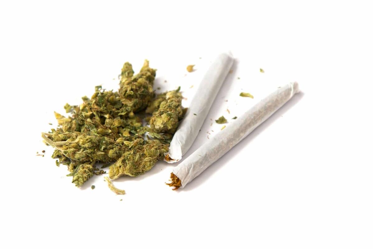 Perchè la Marijuana è illegale? - Marijuana, credits: insurancejournal.com
