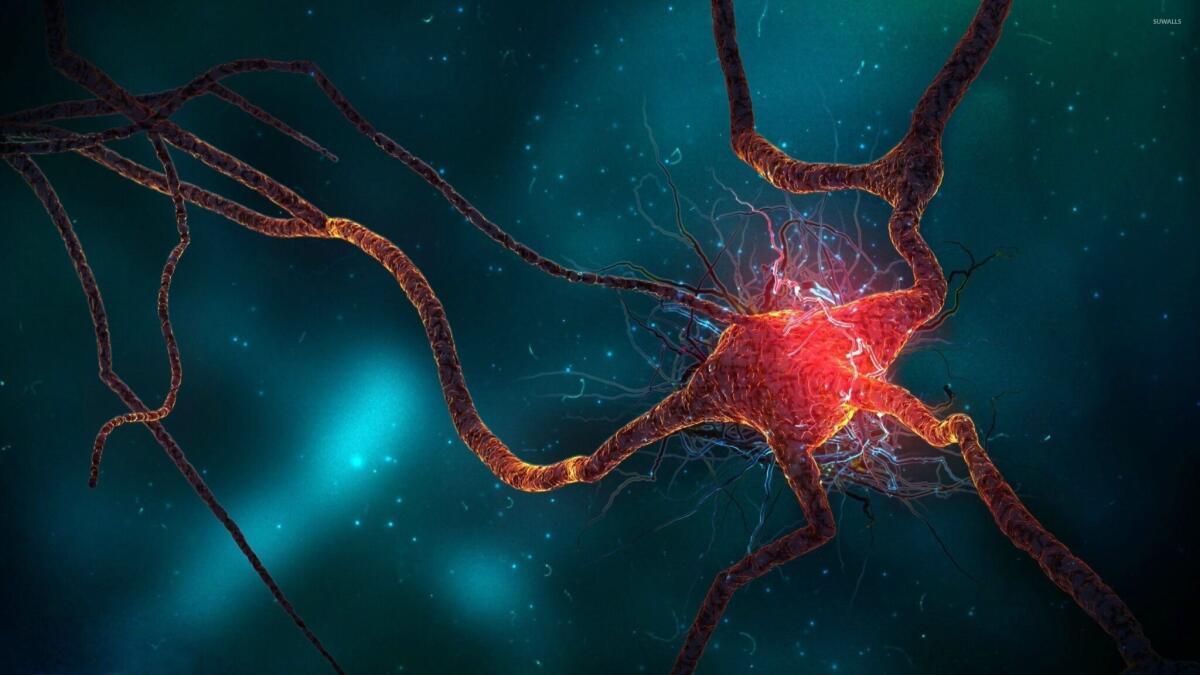 Ictus: la proteina C3a ridurrà i danni al cervello - Brain Cell, credits: suwalls.com