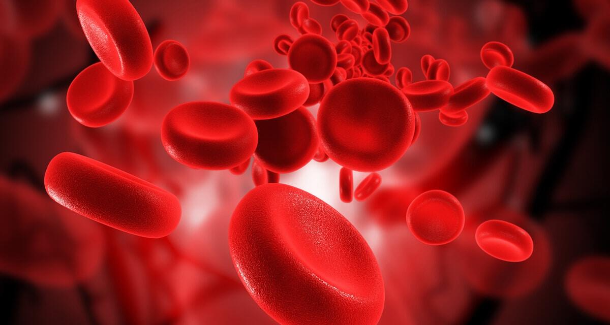 UNIBO: nuovo progetto per migliorare le cure ematologiche - Ematologia, credits: ko-mac.pl
