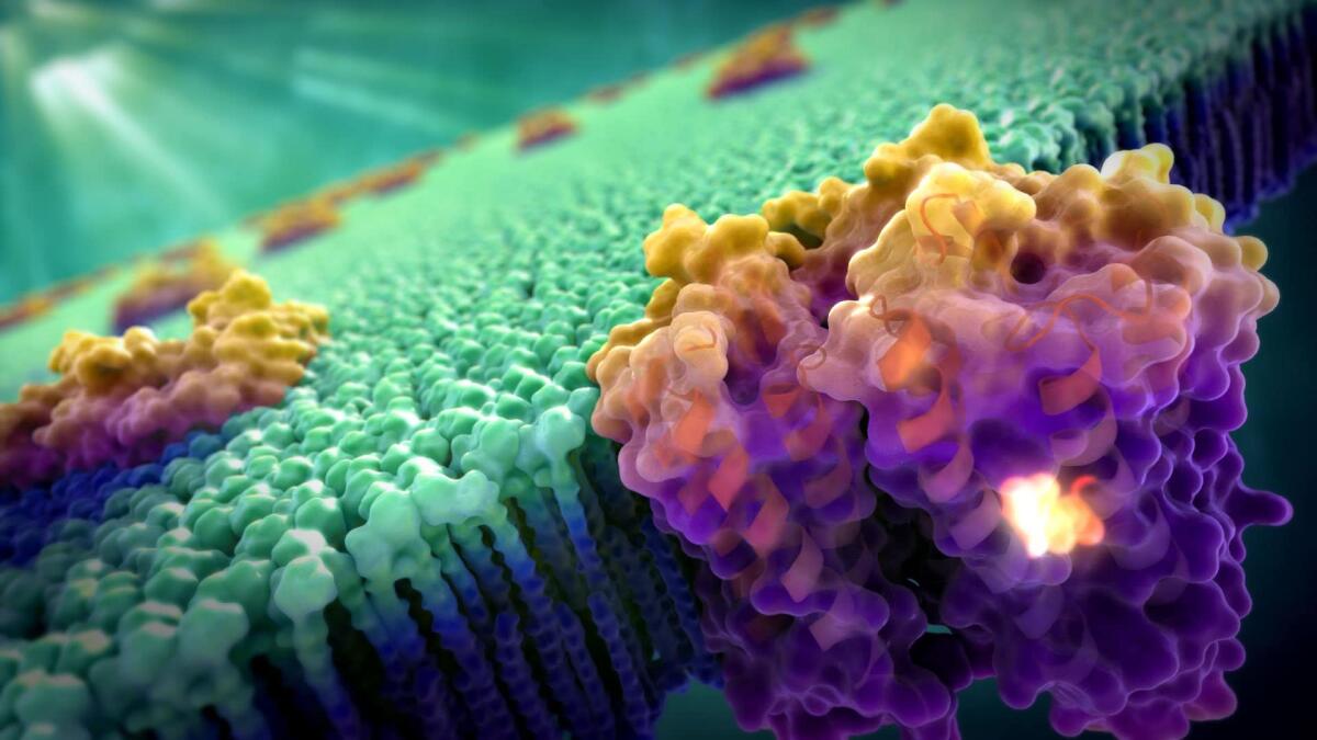 Protein C3a stimulates neural plasticity after brain ischaemia - Rappresentazione artistica di una proteina, credits: s-media-cache-ak0.pinimg.com