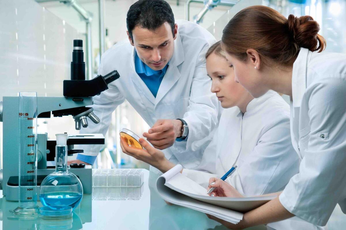 Non c’è lavoro in Italia o non sappiamo come trovarlo? - lavoro ingegneria biomedica
http://imagenes.lainformacion.com