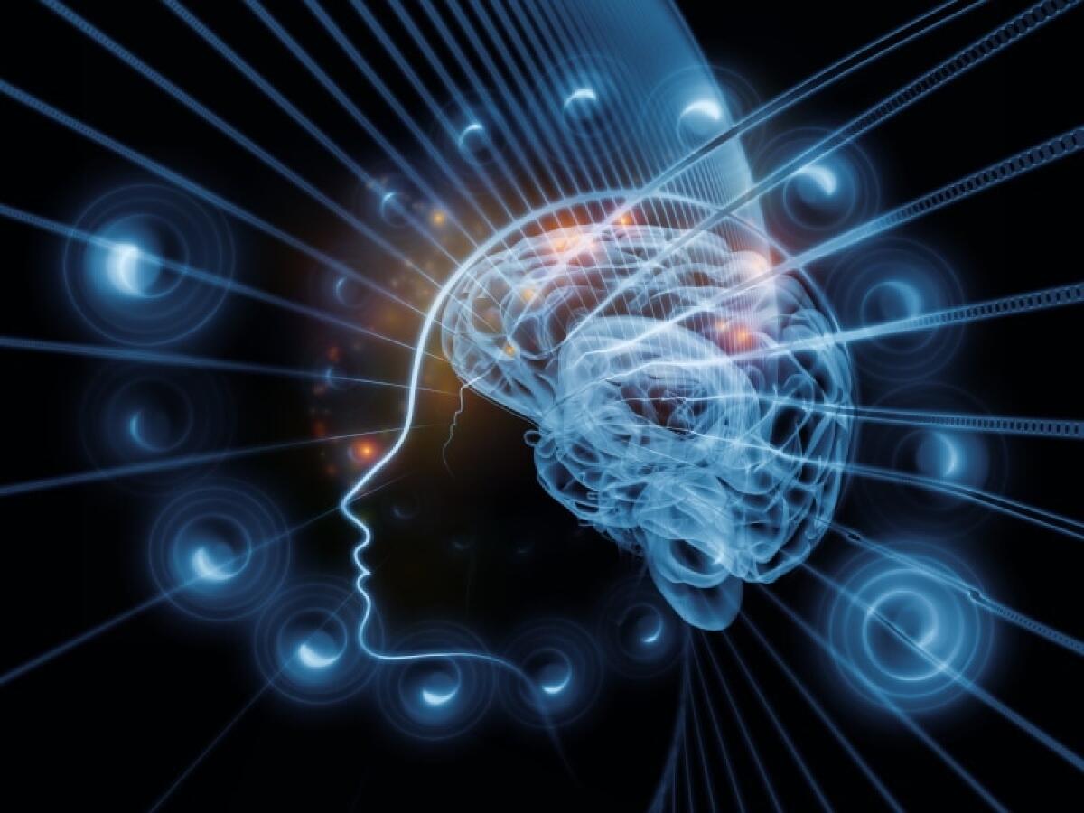 Plasticità cerebrale: è confermato! Il cervello cresce anche in età adulta - https://biomedical.closeupengineering.it/file/2017/01/98bce909-0efe-43d7-8868-933c125a7dcb.jpg