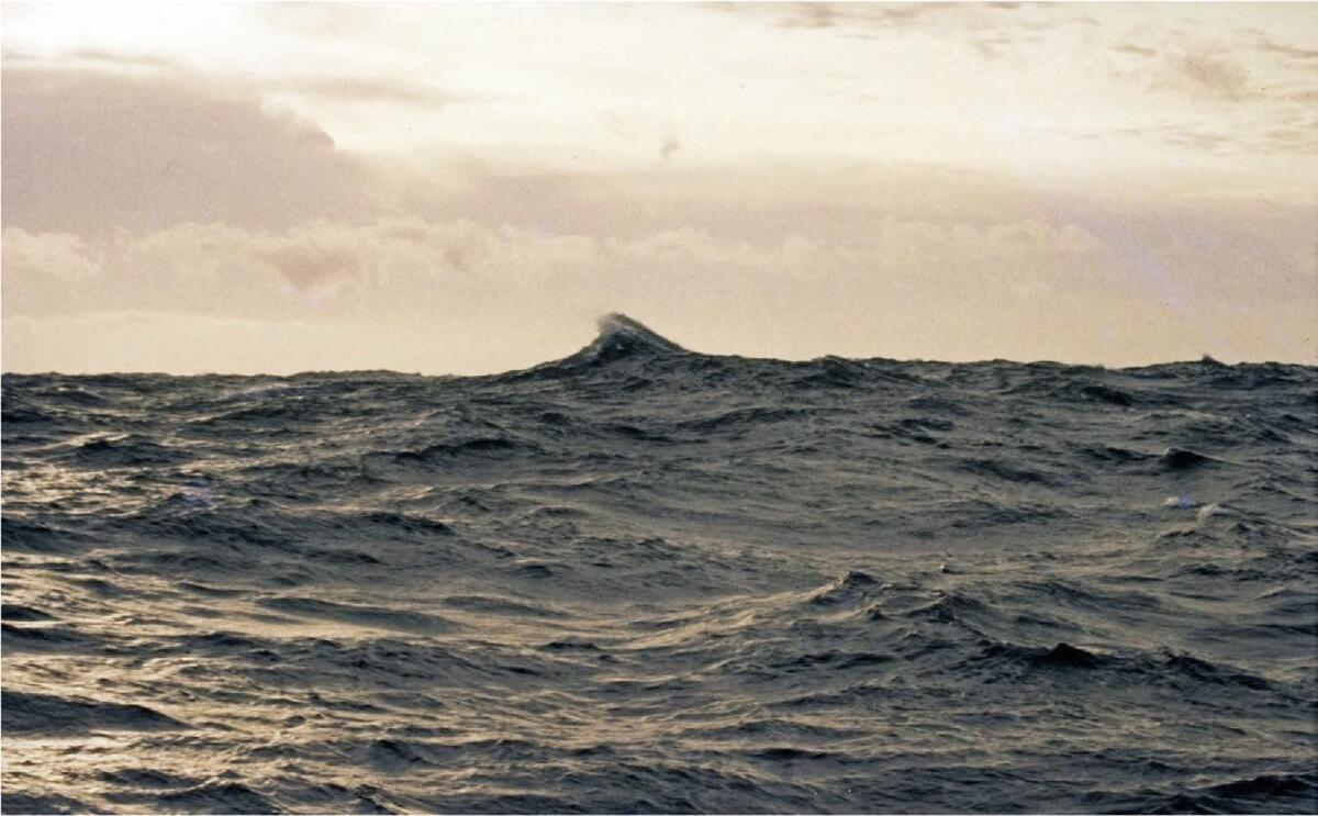 Le onde anomale non sono così rare: nuova scoperta in ambito oceanografico - PH: nature.com/scientificreports