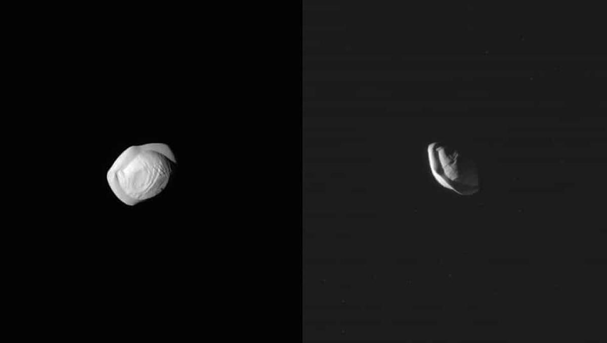 Pan, il satellite "alieno" di Saturno - Pan, uno dei satelliti più interni di saturno. Credits: Cassini-Huygens (NASA/ESA/ASI)