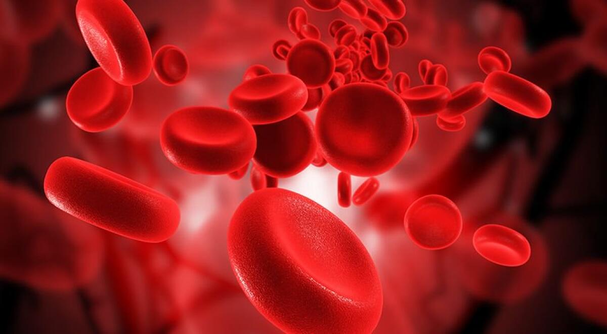Problemi di rigetto e coagulazione? Ci pensa un supermateriale! - Sangue
pbs.twimg.com