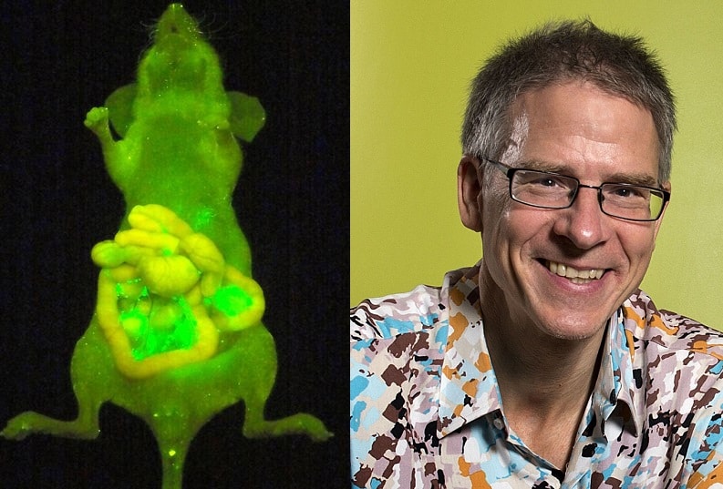 A sinistra un ratto fluorescente (credits: Yasuteru Urano - blogpinali.wordpress.com). A destra il dott. Christof Koch, credits: Allen Institute for Brain Science - imp.ac.at