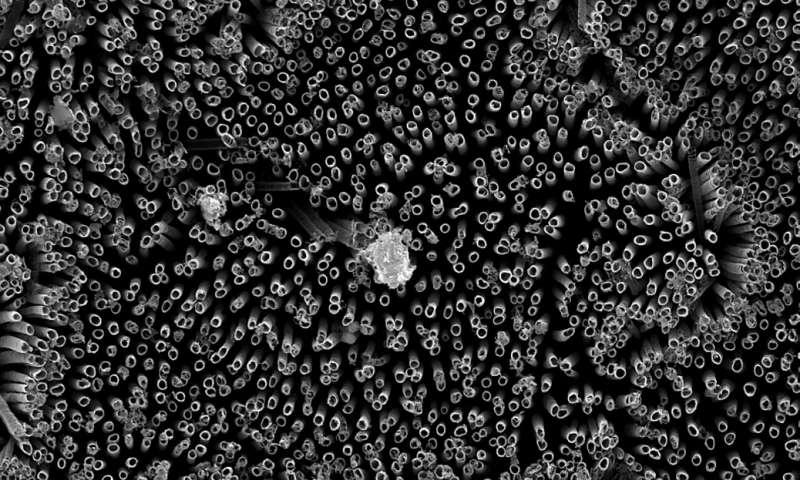 Nanotubi fluorurati creano una migliore superficie idrofobica negli esperimenti della CSU Credit: Kota lab/Colorado State University