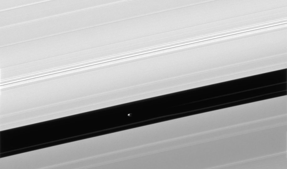 Uno scatto di Pan, nella divisione di Encke. Credits: Cassini (NASA/ESA/ASI)